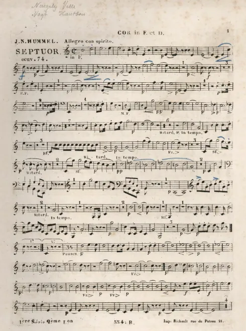 Horn