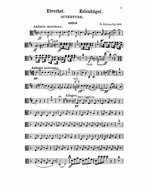 Violas