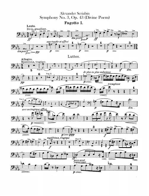 Bassoon 1, 2, 3