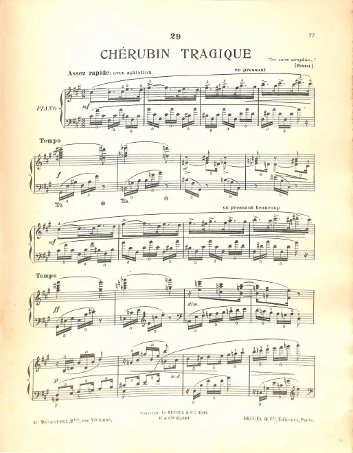 29. Chérubin tragique