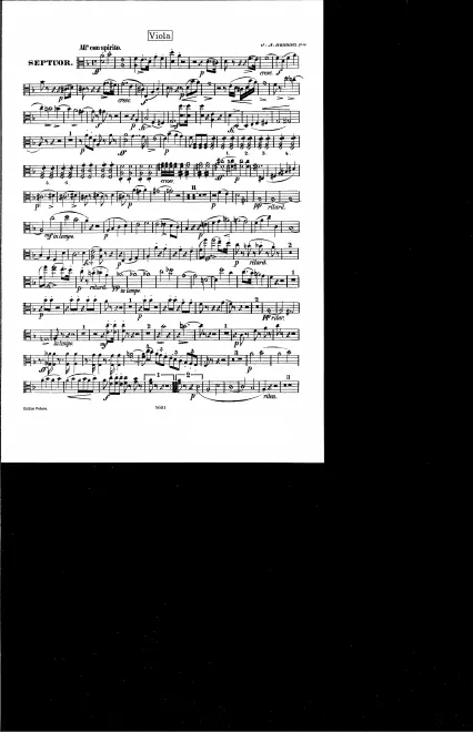 Viola