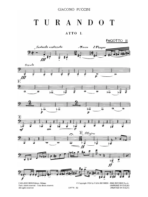 Bassoon 2