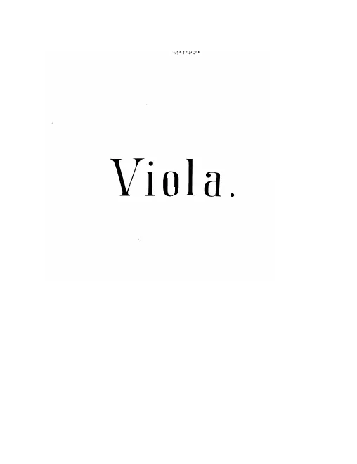 Viola
