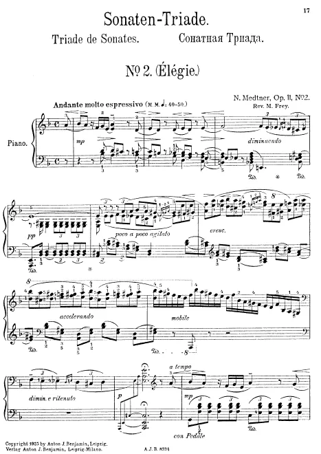 2. Sonata-Elegy in D minor
