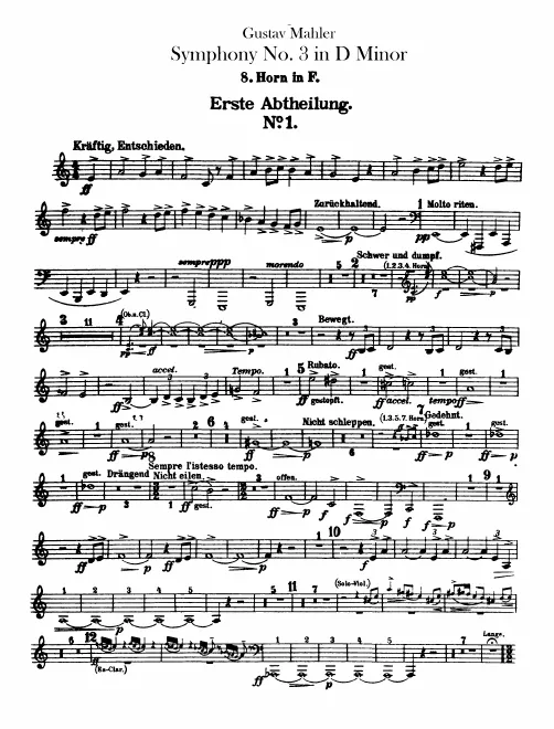 Horn 8 (F)