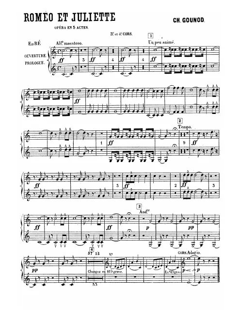 Horn 3/4 (D/D/C/B basso/B basso)
