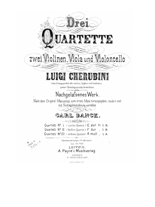 Violin 1