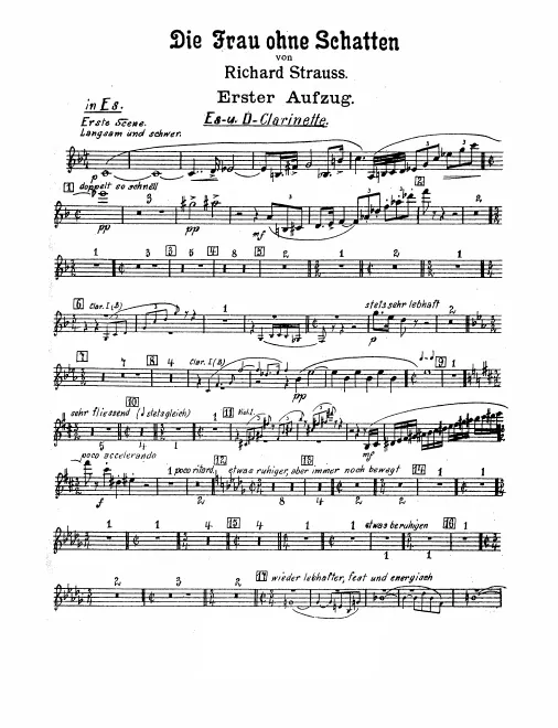 Piccolo Clarinet (E♭/D)