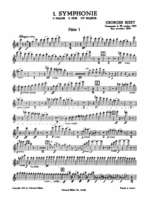 Flute 1