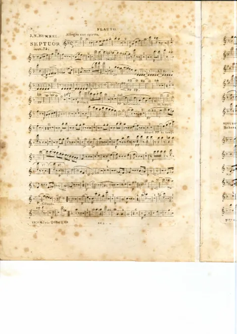 Flute