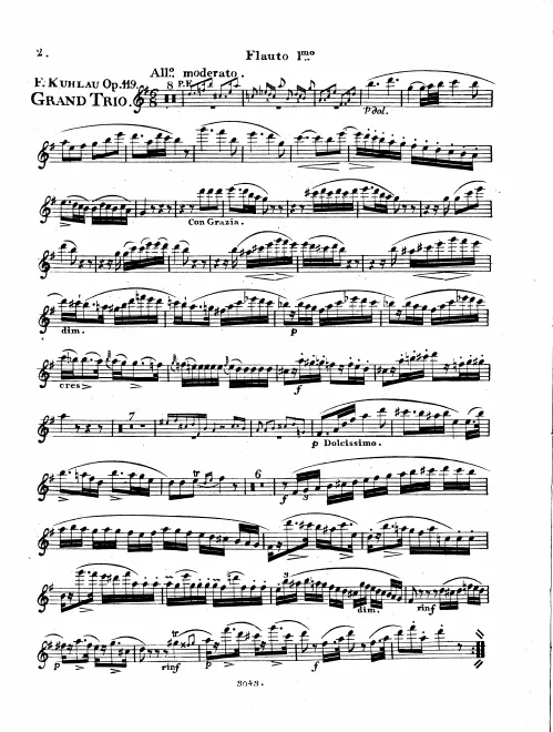 Flute 1