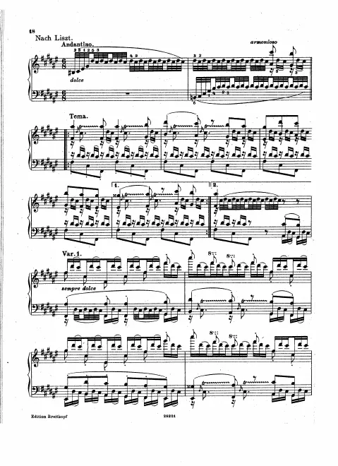 Excerpt: Nach Liszt.