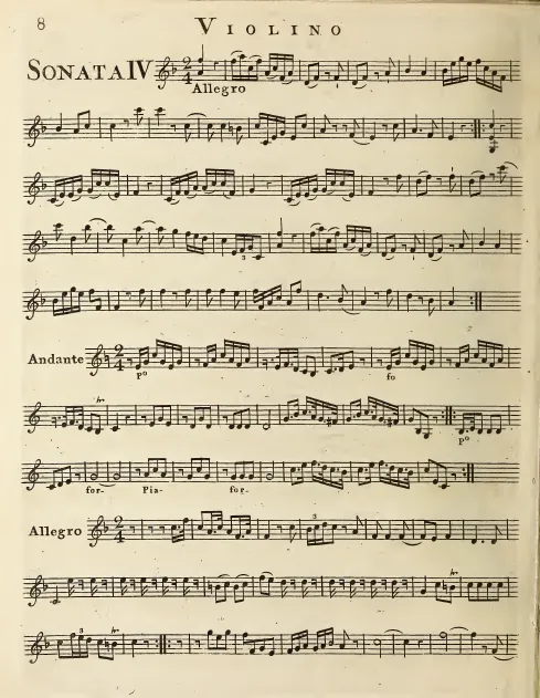 Violin