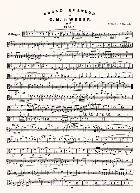 Viola