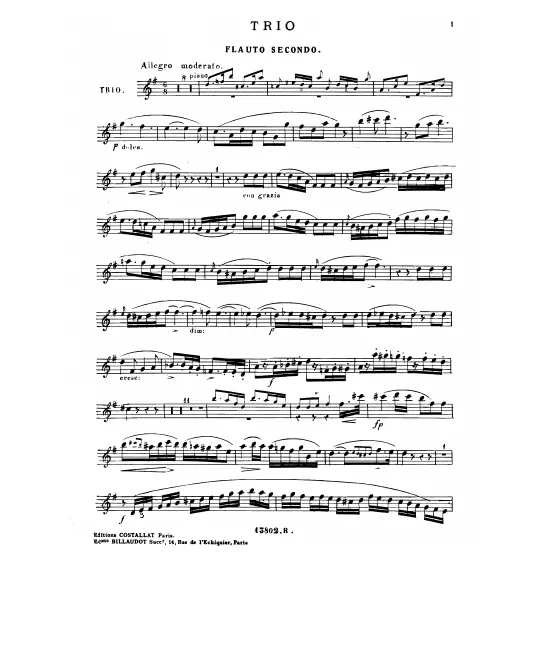 Flute 2