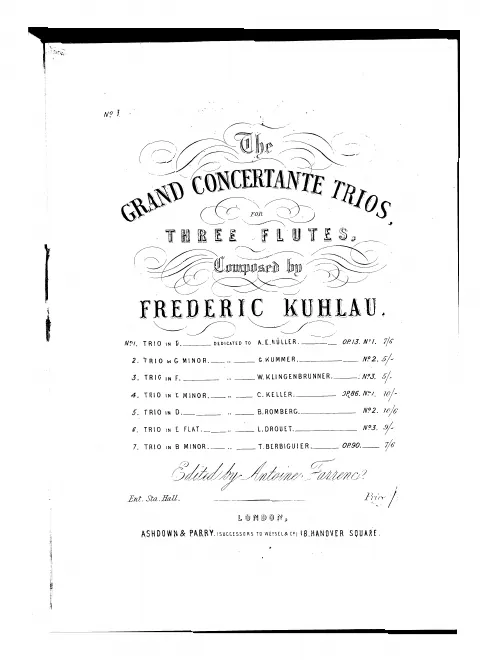 Flute 1