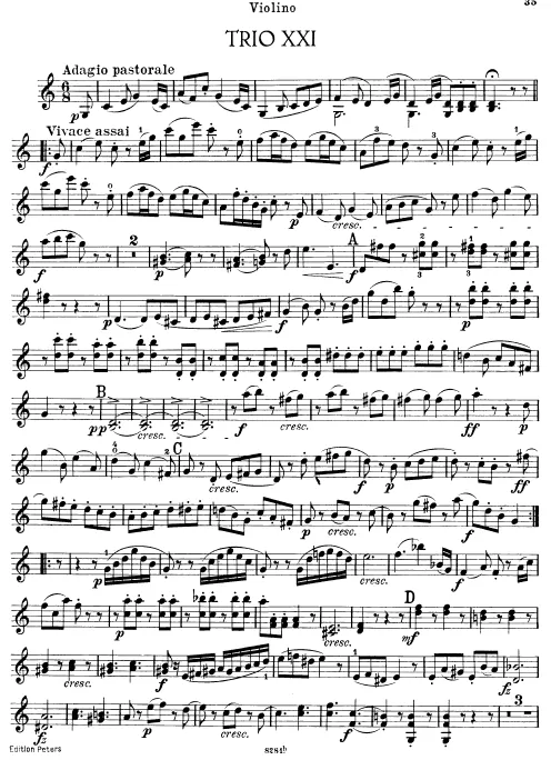 Violin