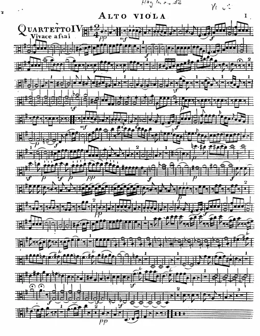 Viola