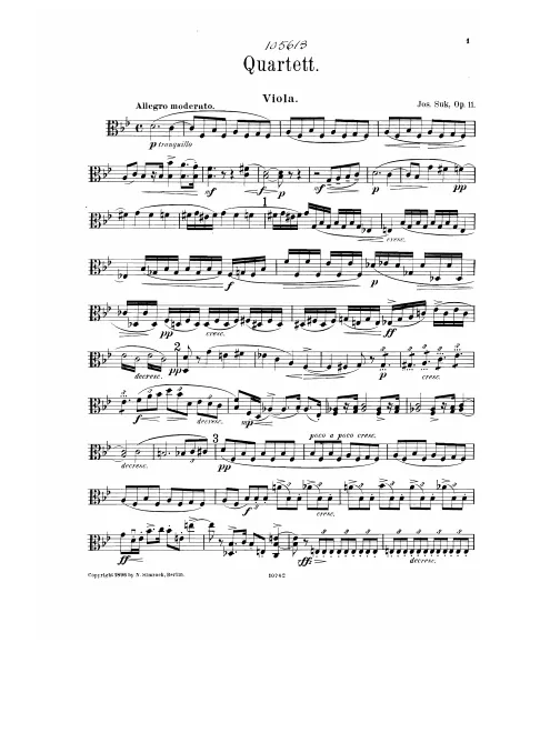 Viola