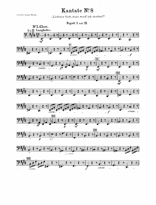 Bassoon 1/2