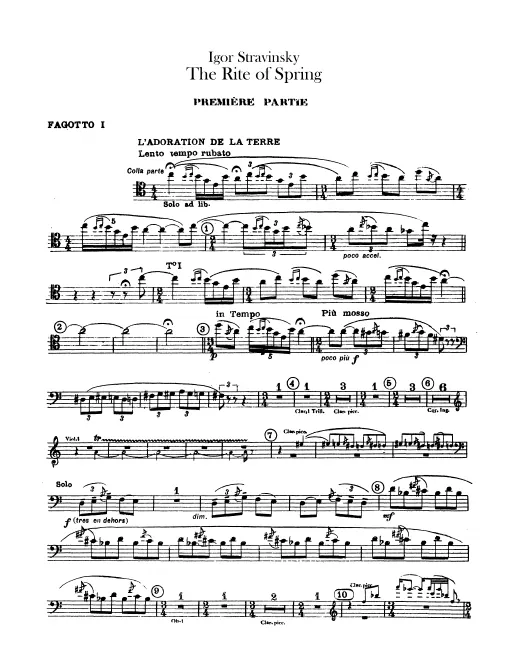 Bassoon 1