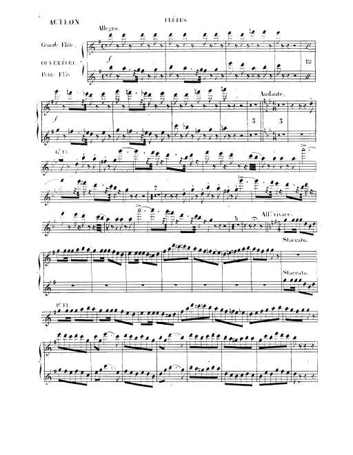 Flute/Piccolo