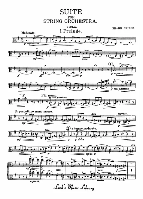 Violas