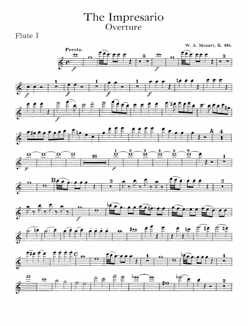 Flute 1
