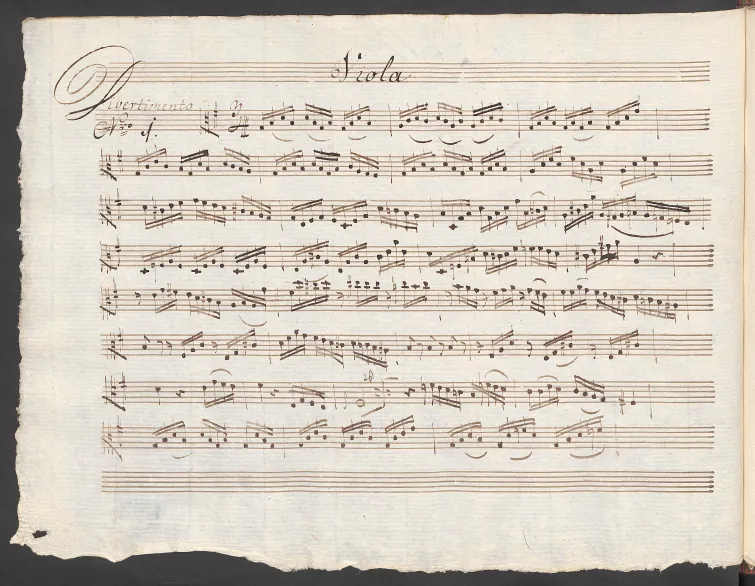 Viola