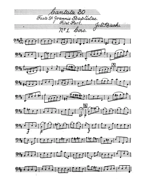Cellos/Basses