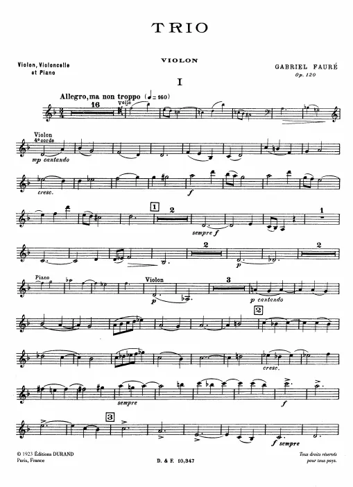Violin, Cello