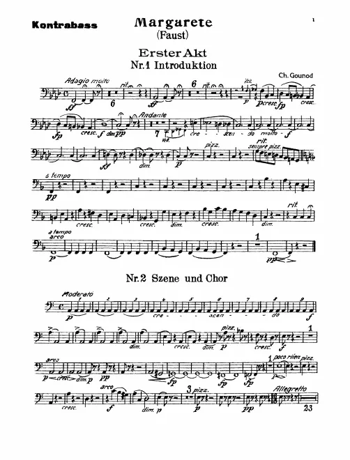 Basses