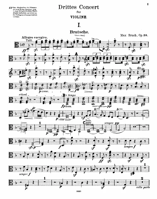 Viola
