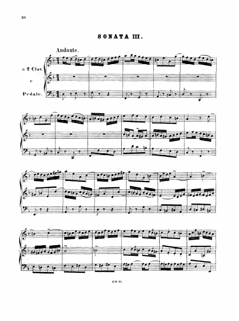 Sonata No.3 in D minor, BWV 527