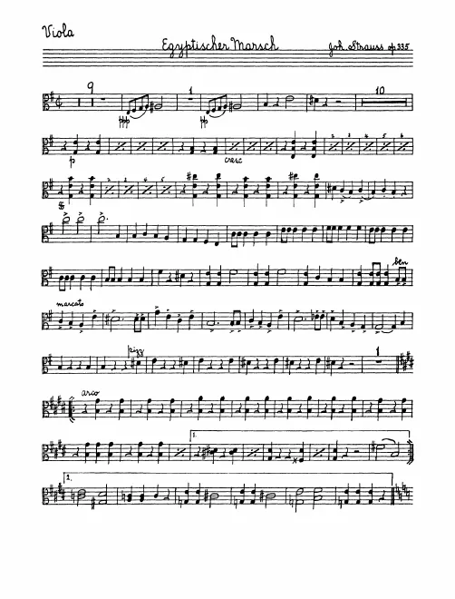 Violas
