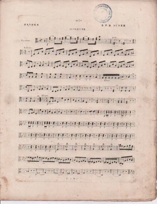 Violas
