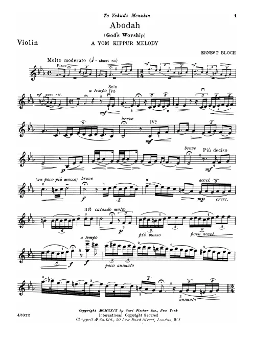 Violin