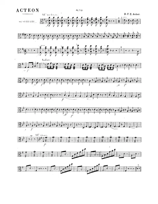 Violas