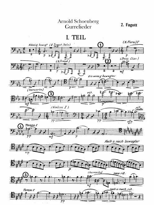 Bassoon 2