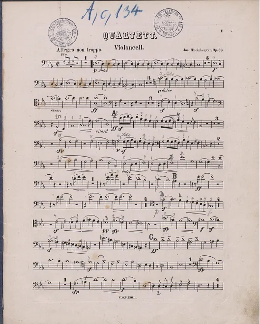 Cello (color, with annotations)