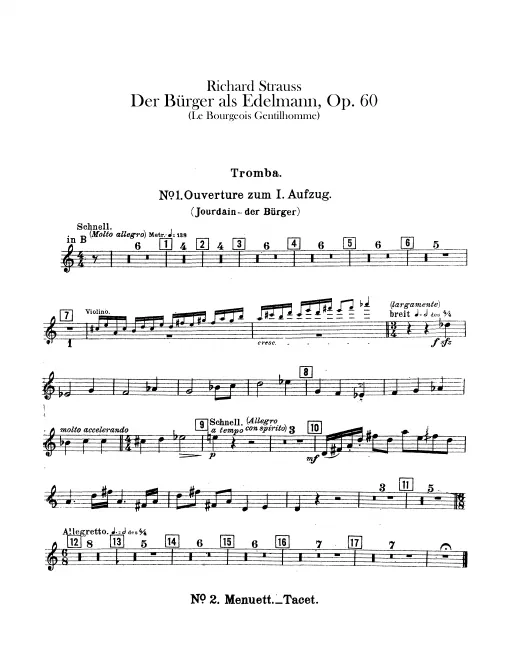 Trumpet (B♭/C)