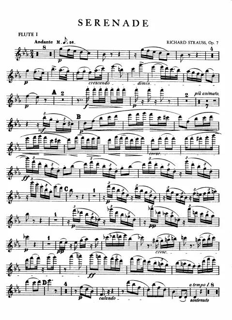 Flute 1, 2