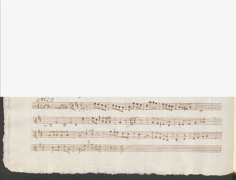 Viola
