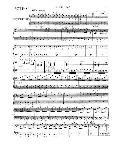 Cellos/Basses