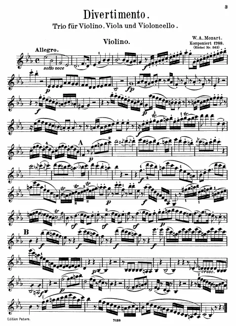 Violin