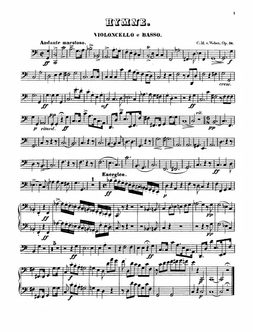 Cellos/Basses