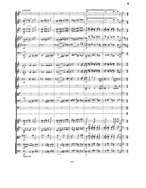 Segment 4