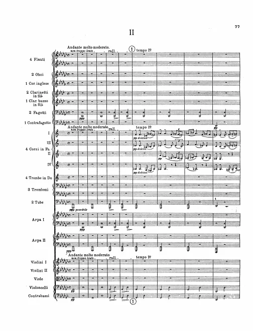 II. Andante molto moderato