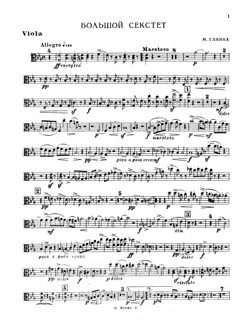 Viola