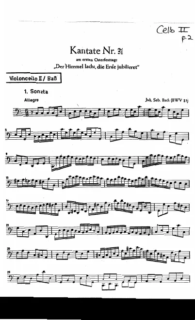 Cello II/Basses